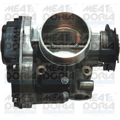 Throttle Body